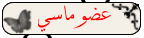 عضو ماسي عضو ماسي