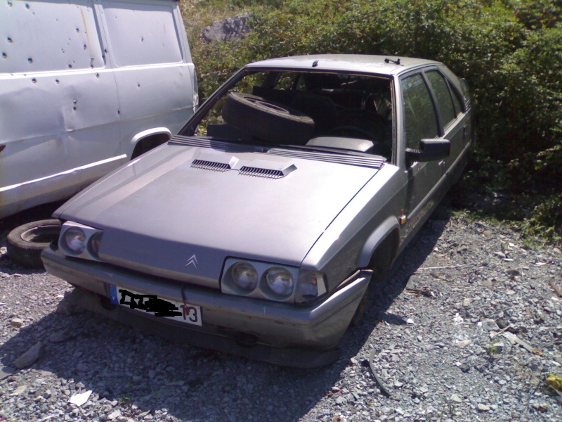 ara_1310.jpg