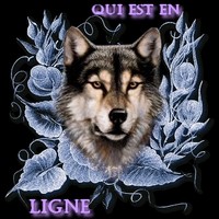 Qui est en ligne ?