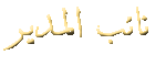 نائب المدير نائب المدير