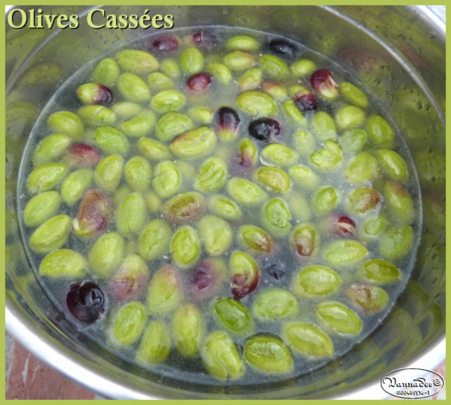 olives13.jpg